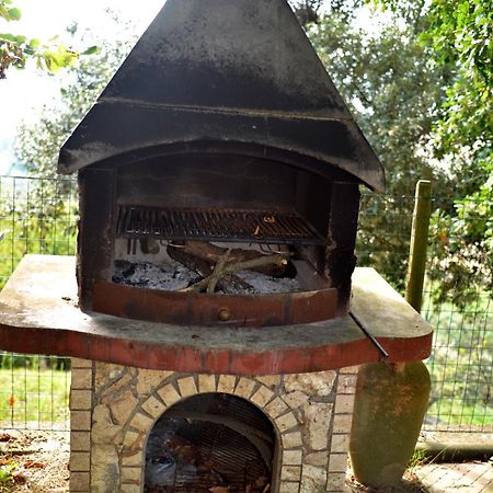 Agriturismo Podere Biancospino Piscina Privata Chianciano Terme Luaran gambar