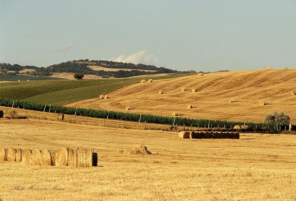 Agriturismo Podere Biancospino Piscina Privata Chianciano Terme Luaran gambar